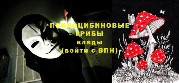 первитин Алексеевка