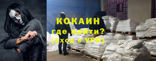 твердый Алзамай
